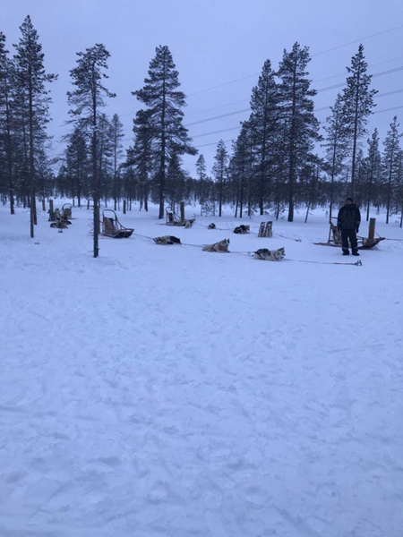 《芬兰瑞典-雪地项目训练6天极光团》
